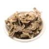 Buy Medicinal Mushrooms