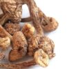 Brazilian Magic Mushrooms